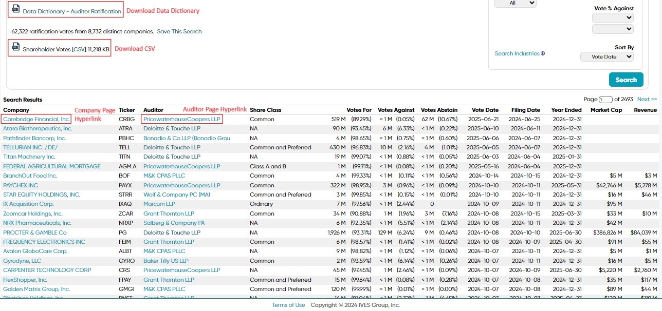 Auditor Ratification Database Screenshot